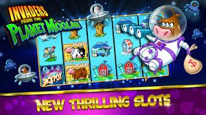 Fitur aplikasi livebet88 di layar ponsel